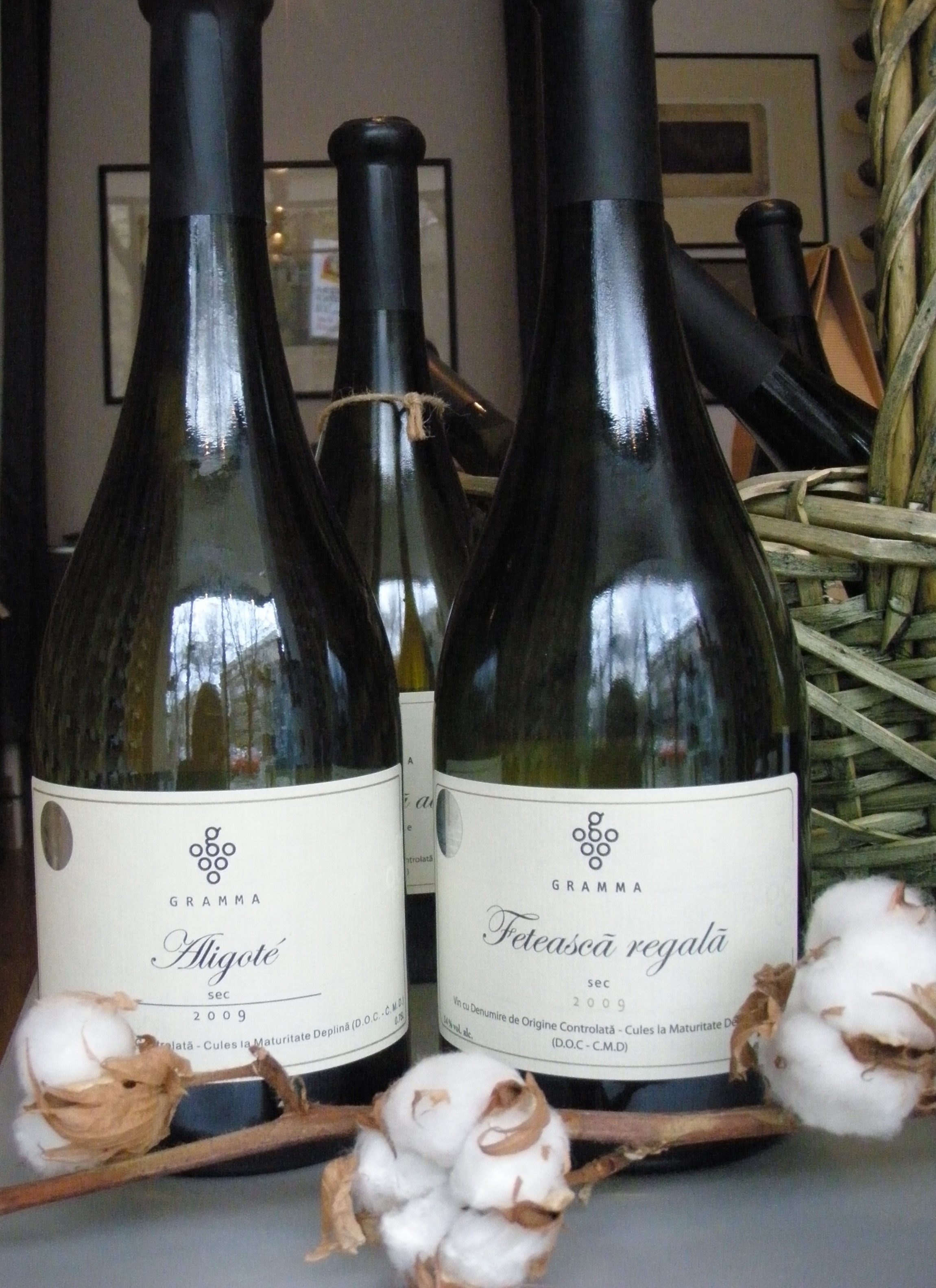 Cele Mai Bune Vinuri Romanesti